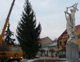 Samospráva - V centre Michaloviec osadili vyše 15 metrovú vianočnú jedličku - P1220568.JPG