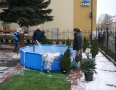 Zaujimavosti - V centre Michaloviec si môžete uloviť vianočného sumca - P1250510.JPG