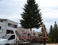 Samospráva - Michalovčania majú rekordný vianočný strom. Meria viac ako 22 metrov - 1.jpg