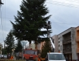 Samospráva - Michalovčania majú rekordný vianočný strom. Meria viac ako 22 metrov - 9.jpg