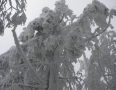 Zaujimavosti - VIHORLAT: Na vrchol sa prebrodili hlbokým snehom  - 3007.jpg