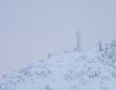 Zaujimavosti - VIHORLAT: Na vrchol sa prebrodili hlbokým snehom  - DSCF3591.JPG