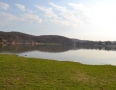 Zaujimavosti - Vinianske jazero obsadili tisícky žiab. Pozrite si fotky - DSC_7525.JPG
