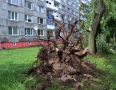 Vašim objektívom - V Michalovciach zaplavilo ulice. Stromy padali aj na autá ! Pozrite si fotky - DSC_8732.jpg