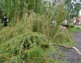 Vašim objektívom - V Michalovciach zaplavilo ulice. Stromy padali aj na autá ! Pozrite si fotky - DSC_8744.jpg